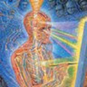 Meet your Posher, Jessie